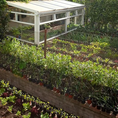 Pensión Adare Galway