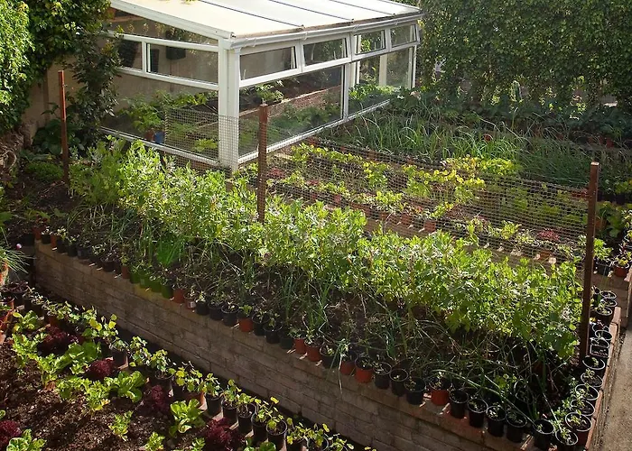 Guest house Adare Galway