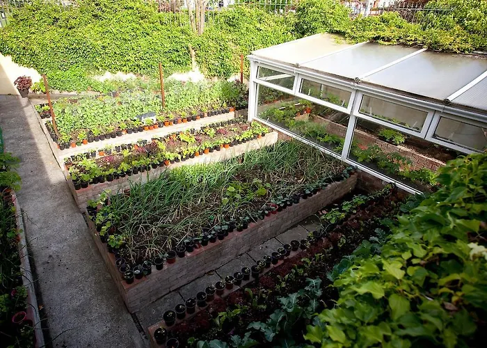 Adare Maison d'hôtes 3*